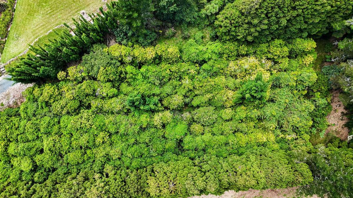 34 Cottle Hill Drive_3