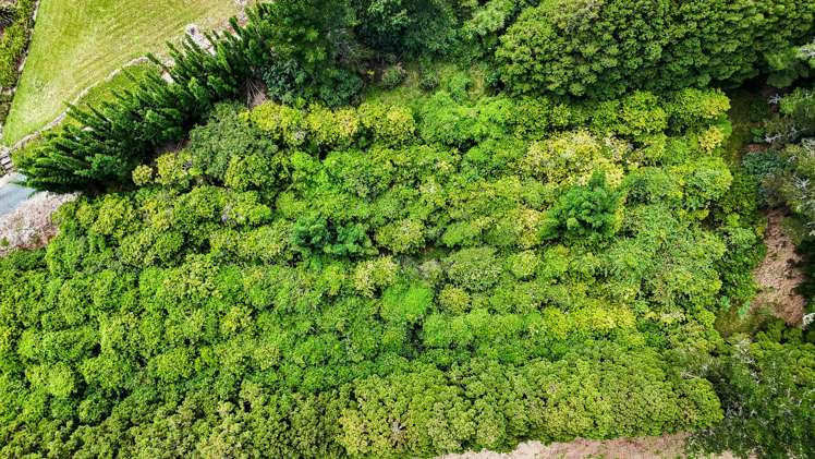 34 Cottle Hill Drive Kerikeri_7