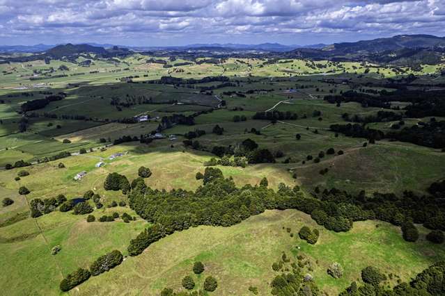 1085 Riponui Road Riponui_3