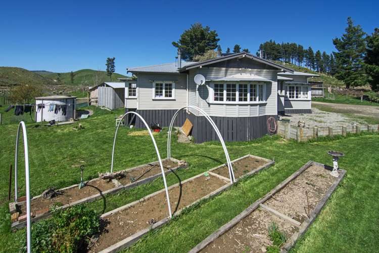 222 North Road Mauriceville_9