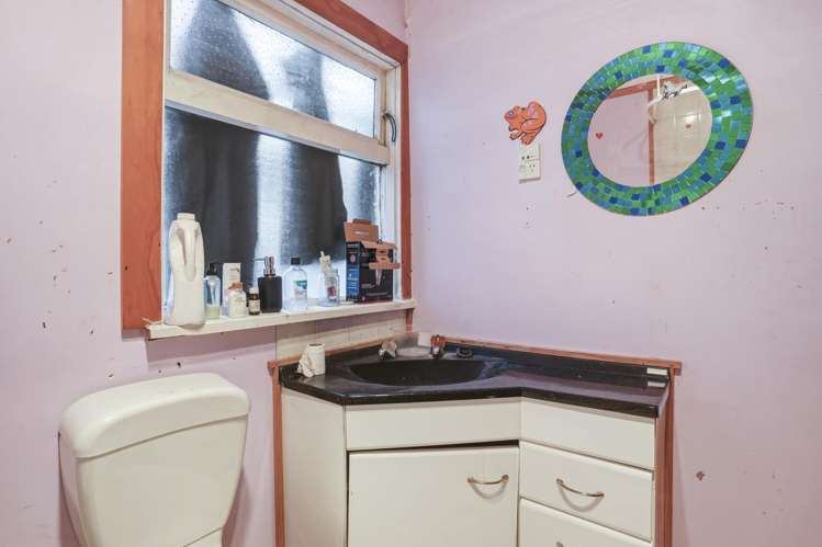 67 Nelson Street Forbury_17