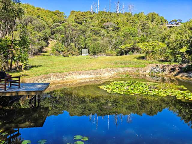 352 Wright Road Dairy Flat_3