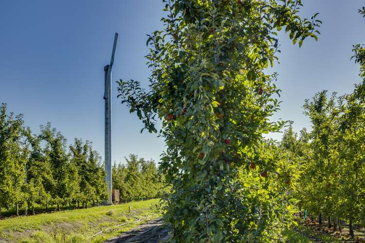 83 Mount Erin Road Havelock North_9