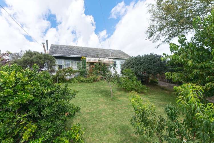 54 Potter Avenue Mt Roskill_6