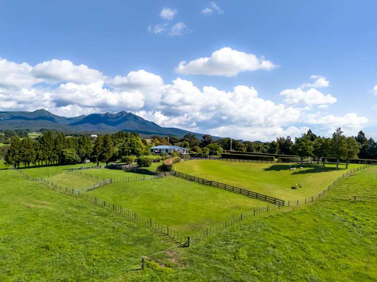 911 Plymouth Road Koru_34