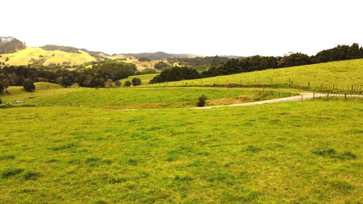 Millbrook Road Waipu_39