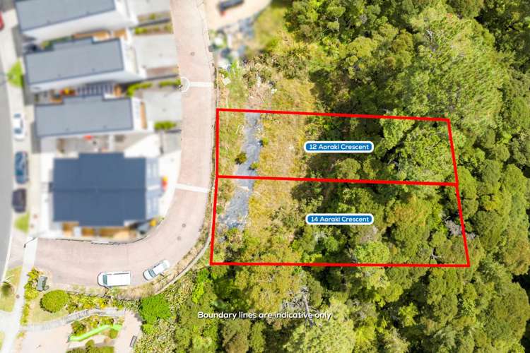 12 Aoraki Crescent Albany_0