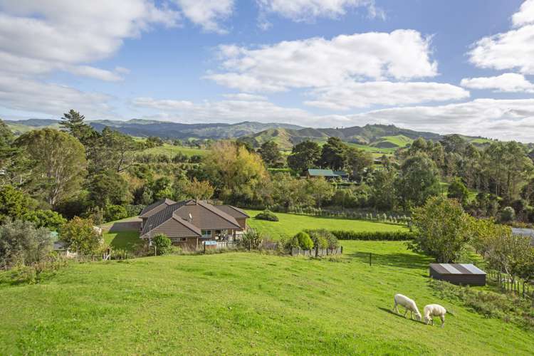 1068a Old Mountain Road Raglan_46