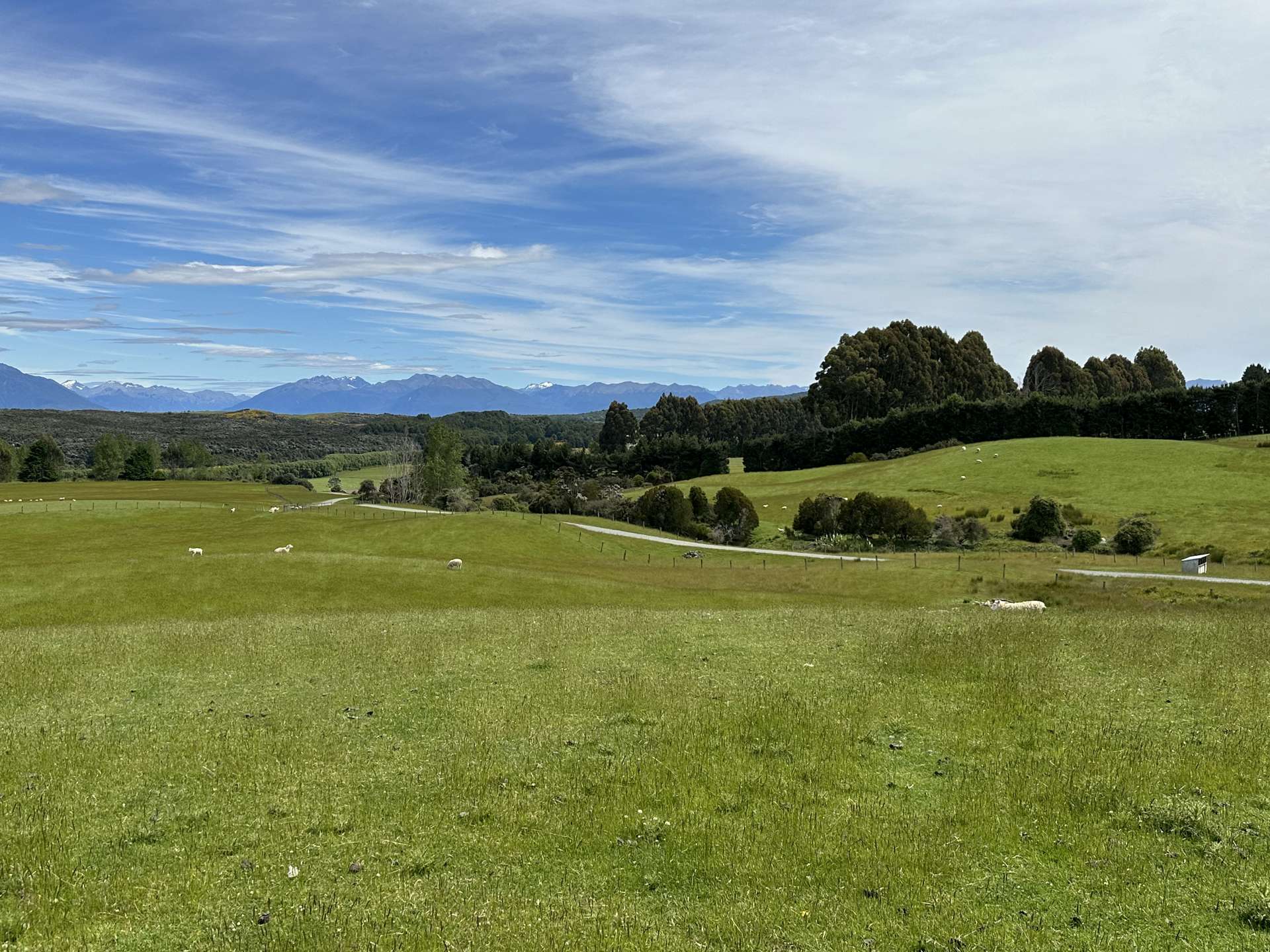 133 Dale Road Te Anau_0
