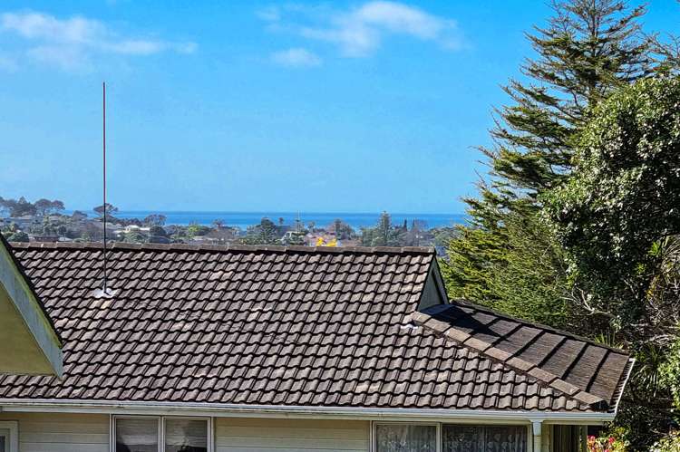 68 Weatherly Road Torbay_5