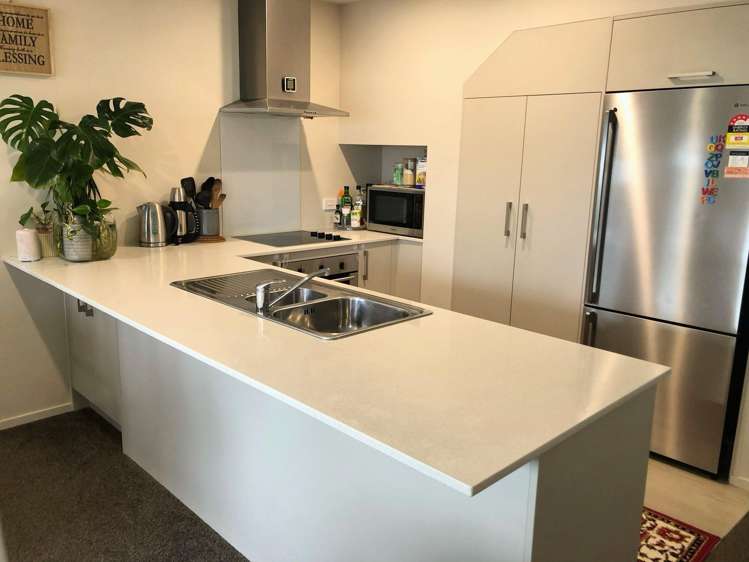 3 Tribute Loop Takanini_1