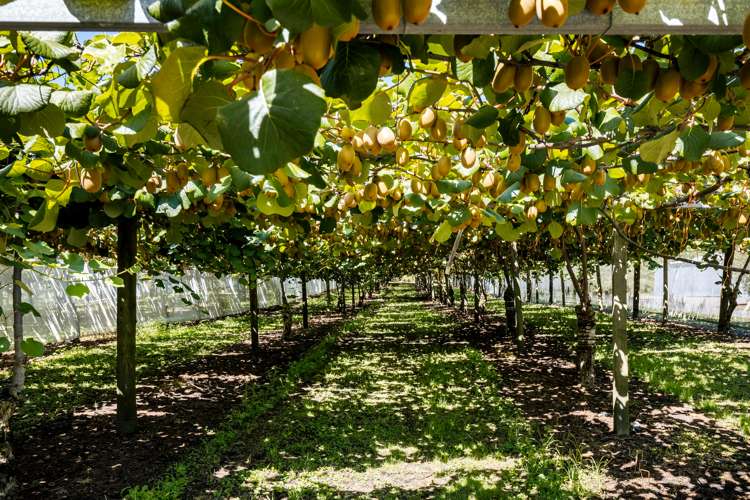 881b Te Matai Road Te Ranga_21