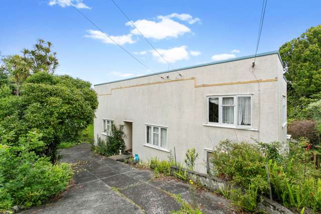 25 Hadfield Avenue Waterview_3