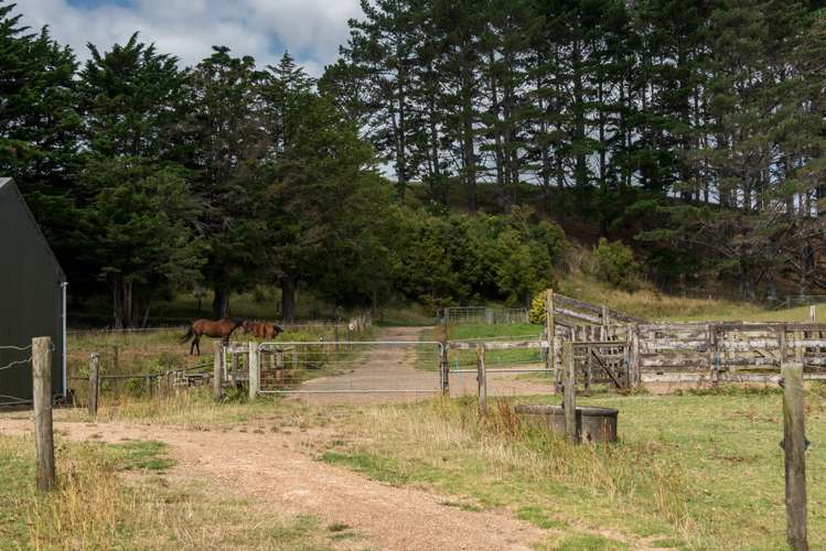 19 Fairhill Place Flat Bush_22