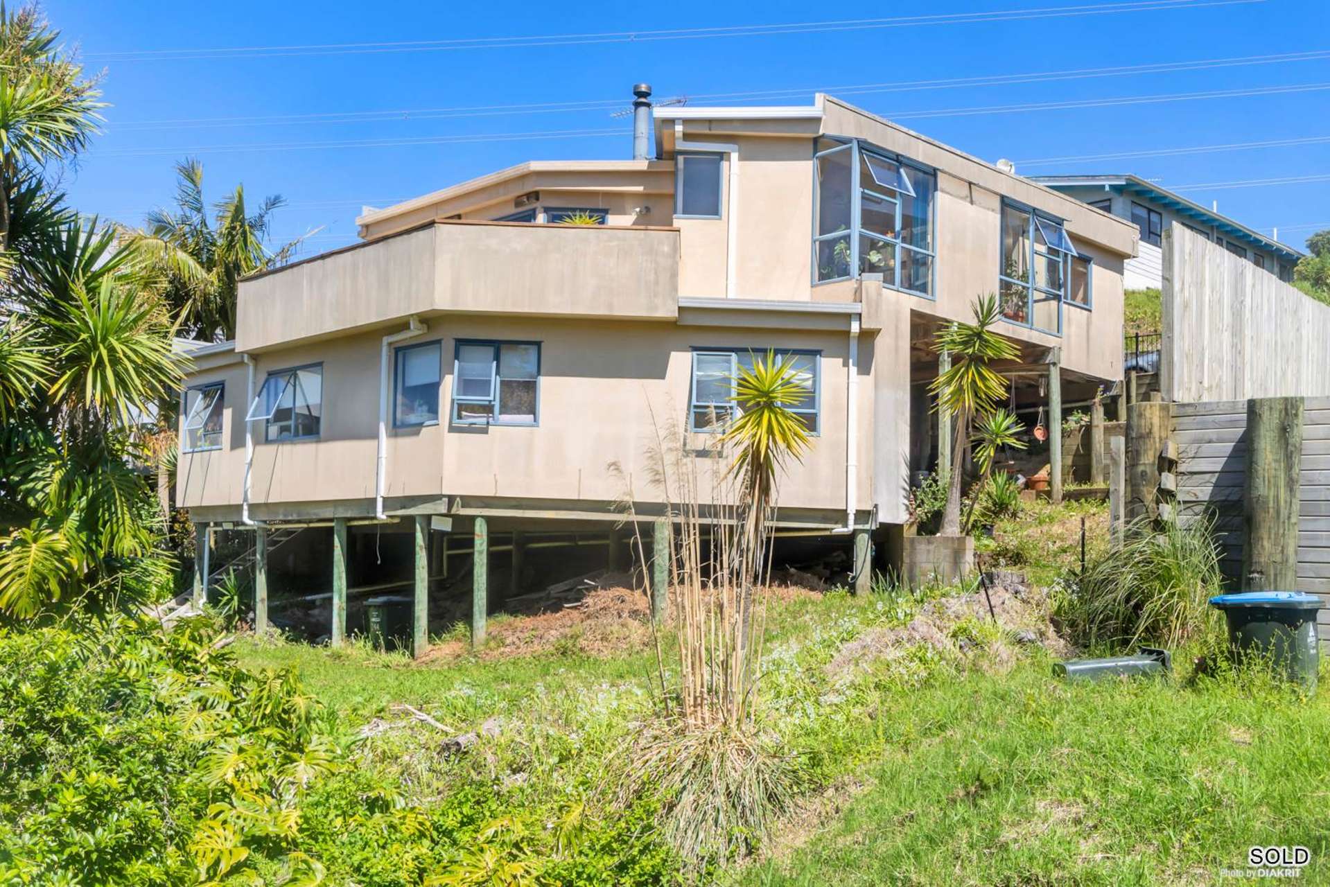 24a Hoskins Avenue Hillsborough_0