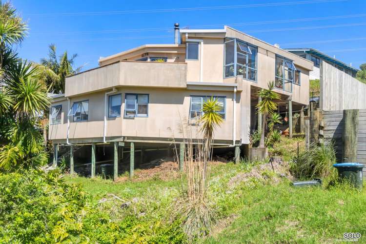 24a Hoskins Avenue Hillsborough_0