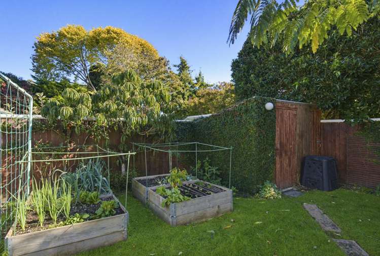1 Maple Lane Waikanae_13
