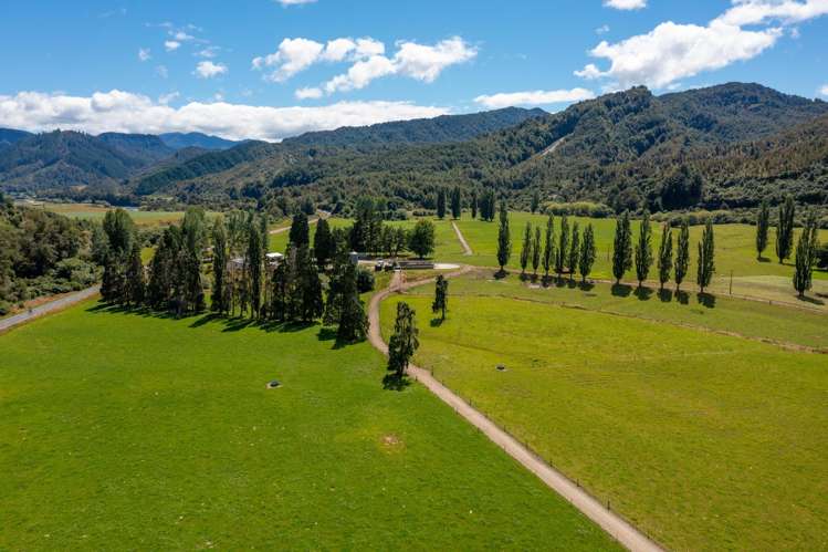 1153 Shenandoah Highway Murchison_26