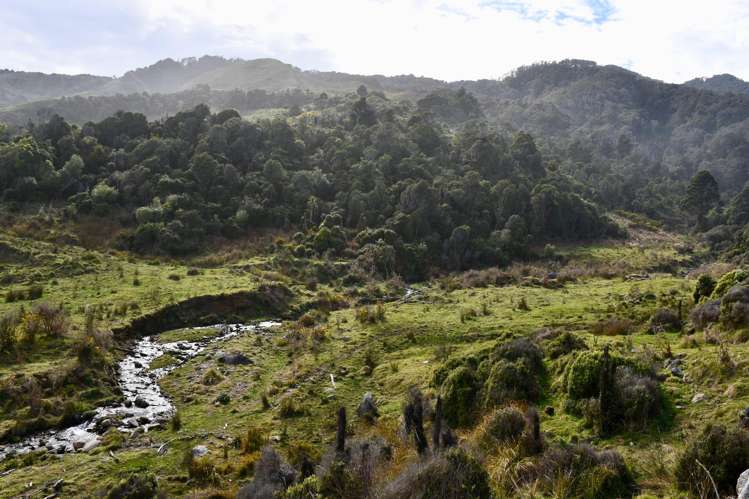 904 Karamea Kohaihai Road Karamea_33