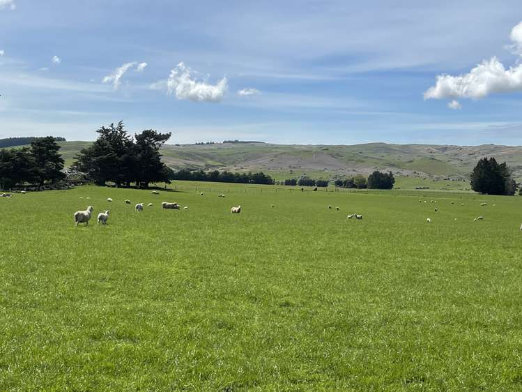 969 Nenthorn Road Moonlight_8