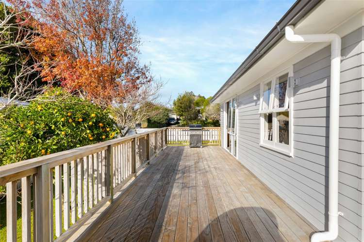 36 Mildmay Road Henderson_11