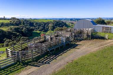 63 Sharpe Road_4