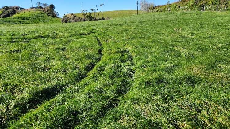 Lot 1, 724 Upland Road Lower Egmont Village_2