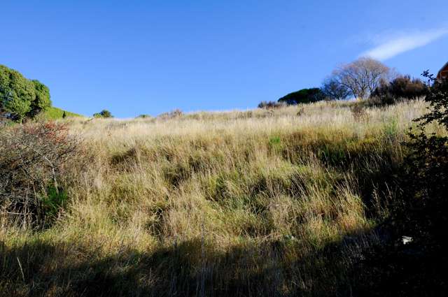 Beach Road Oamaru_4