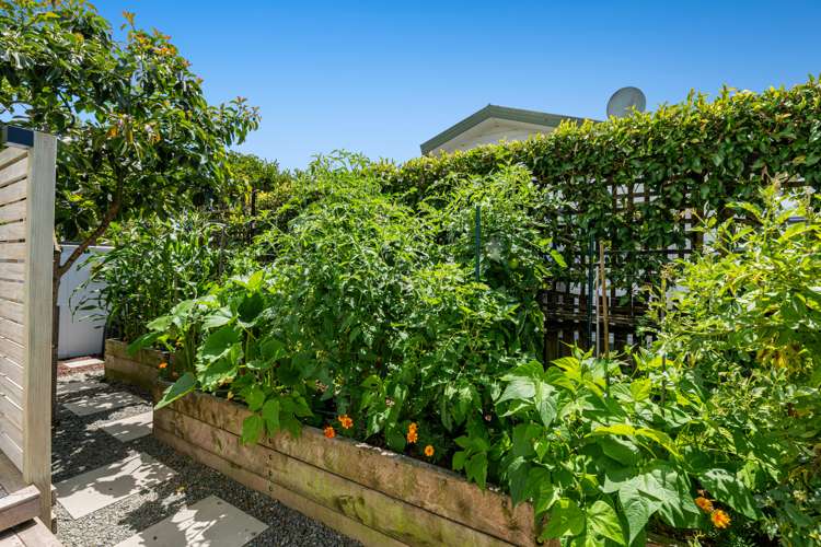 246a Centreway Road Orewa_15