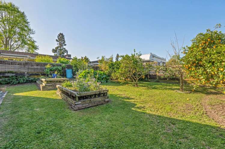 84 Burwood Road Matamata_22