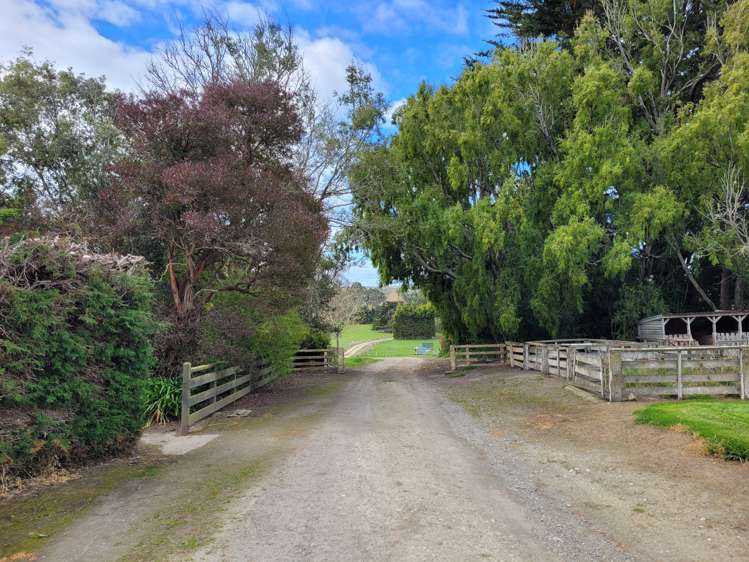 Waimotu Road Herbert_7