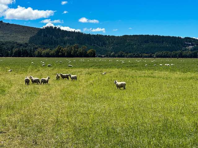 164 Oswald Road Te Anau Surrounds_2