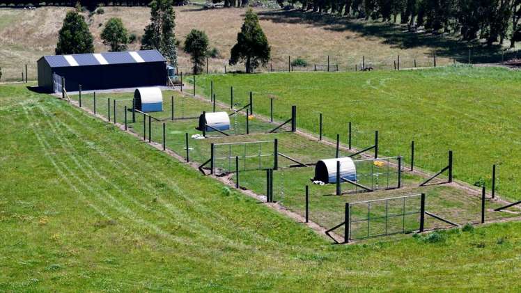 152 Moore Road Lorneville_36