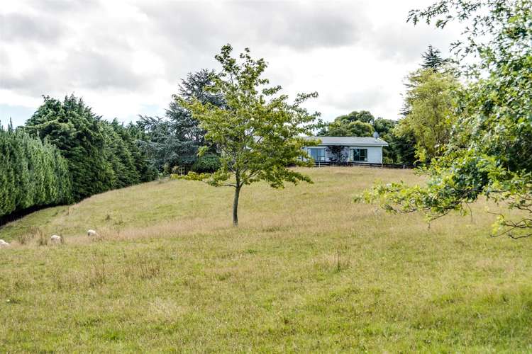 134 Otamauri Road Otamauri_20