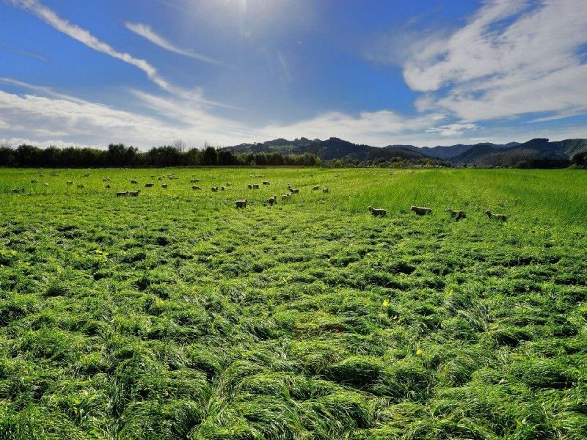 2118 Matawai Road Te Karaka_0