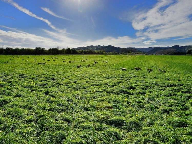 2118 Matawai Road Te Karaka_0