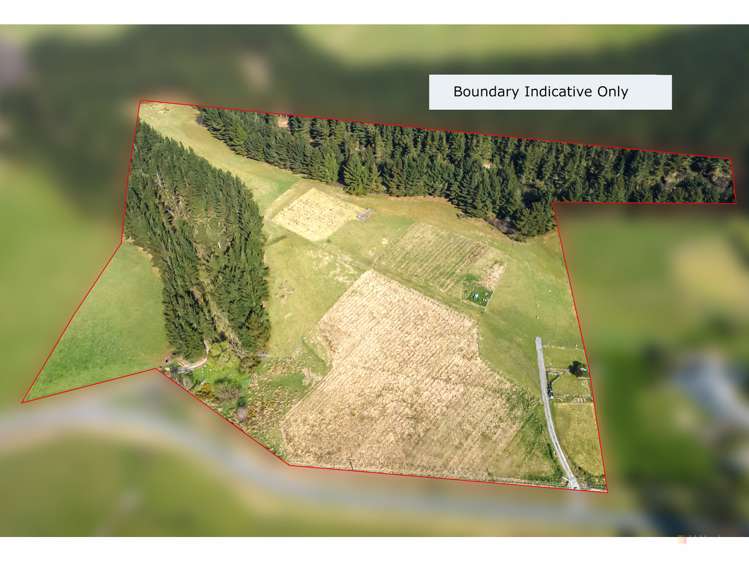 Downs Road Geraldine_0