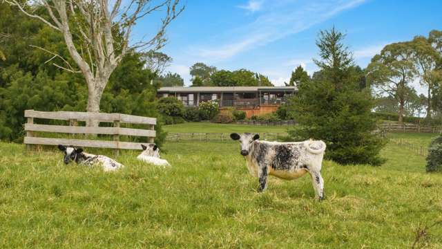 Lifestyle Living, Equestrian Edge, Developer Depth