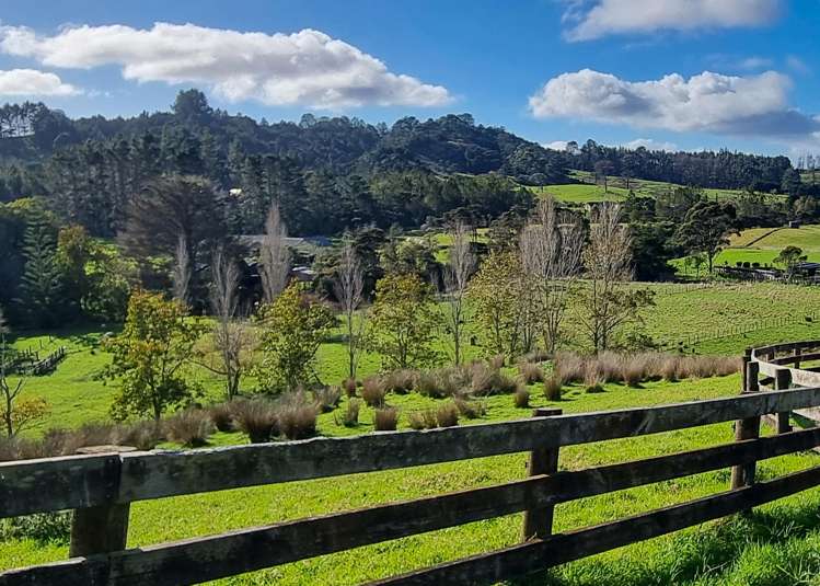 384 Pine Valley Road Dairy Flat_43