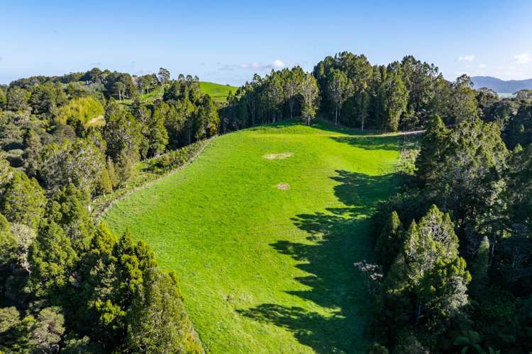 Lots1-7/450 Lawrence Road Mangawhai_21