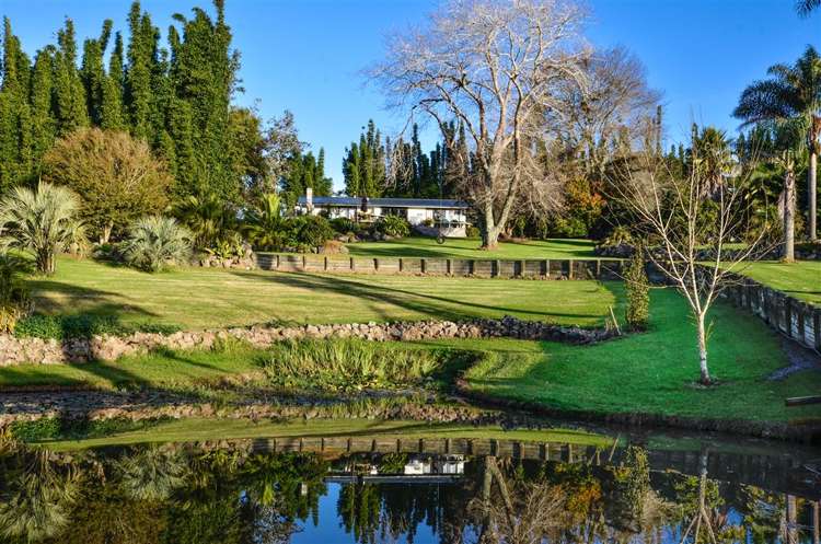 211 Foster Road Waimauku_5