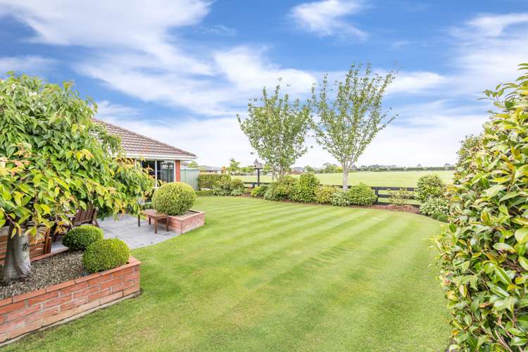 88 Roydon Drive Templeton_5