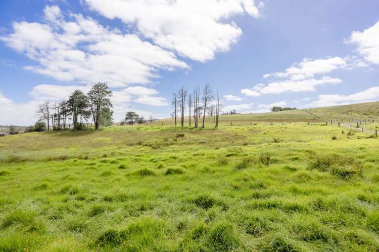 175 Wayby Station Road Wellsford_25