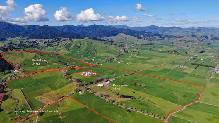 81 Station Road Puriri_14