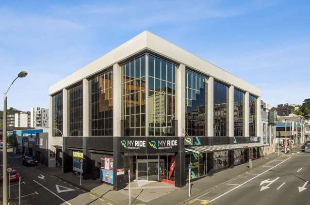 Ground/181 Vivian Street Te Aro_1