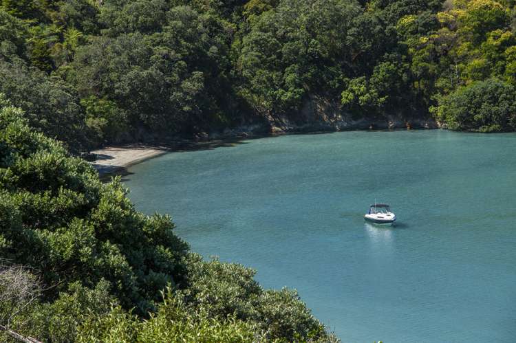 3a Waikare Road Oneroa_7