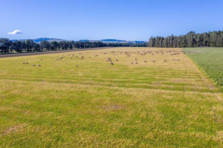 279 Waipara Flat Road Waipara_15