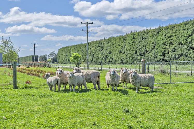 253 Burts Road Southbridge_27