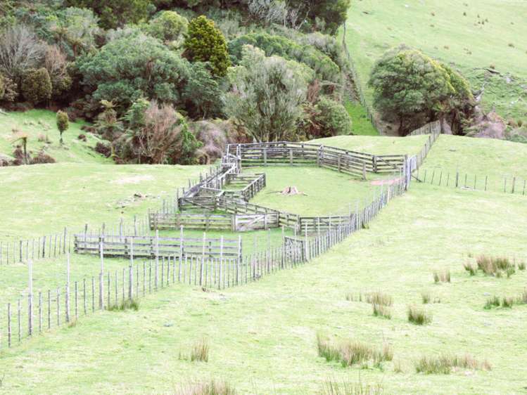 Mangakahu Valley Road Waimiha-Ongarue_31