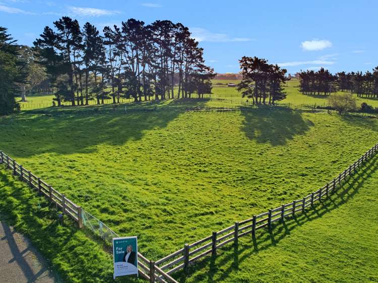 32 Forest Hill Road Aokautere_4